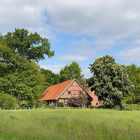 Ferienhaeuser Weitblick Gilten Exterior photo